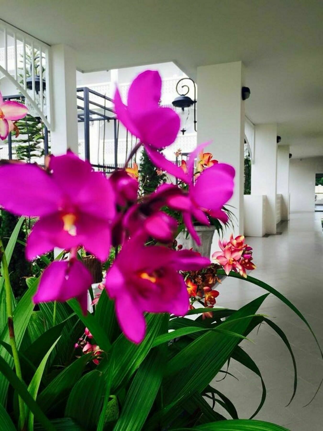 Koranaree Courtyard Boutique Hotel Nakhon Ratchasima Exterior photo